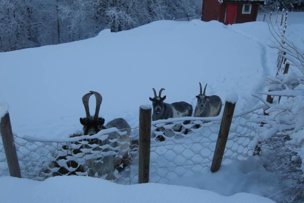 Vila Skjerping Gardshus, Lonevåg Exteriér fotografie
